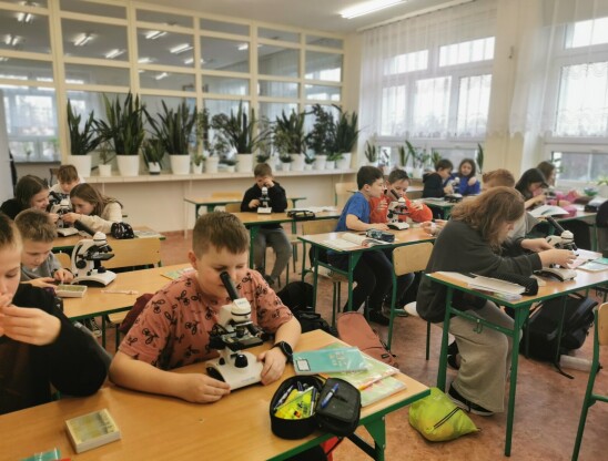 Uczniowie na lekcji siedzący w ławkach i korzystający z mikroskopów